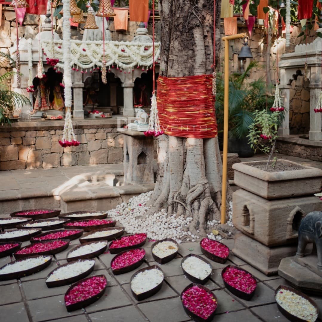 Aagaz decor