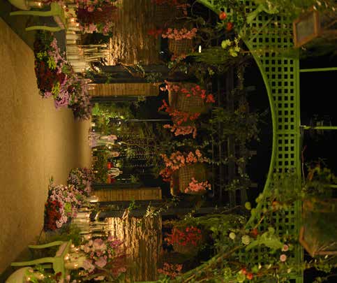 Mithu Aur Anar Ki Shaam décor