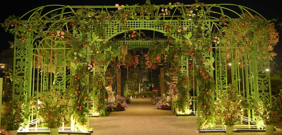 Mithu Aur Anar Ki Shaam décor